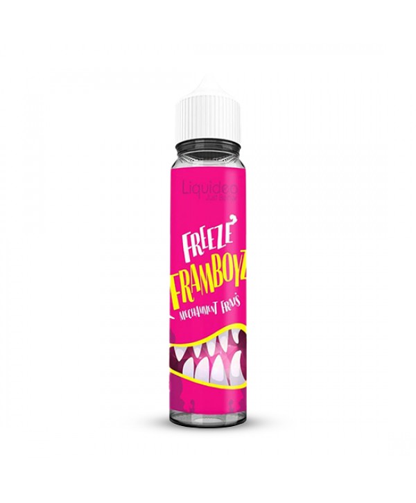 FREEZE FRAMBOYZ 0MG 50ML LIQUIDEO