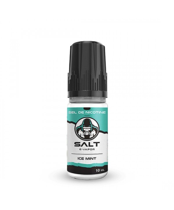 ICE MINT SEL DE NICOTINE 10ML SALT E-VAPOR