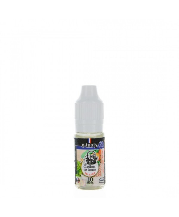 TEINT DE PÊCHE SEL DE NICOTINE 10ML ETASTY